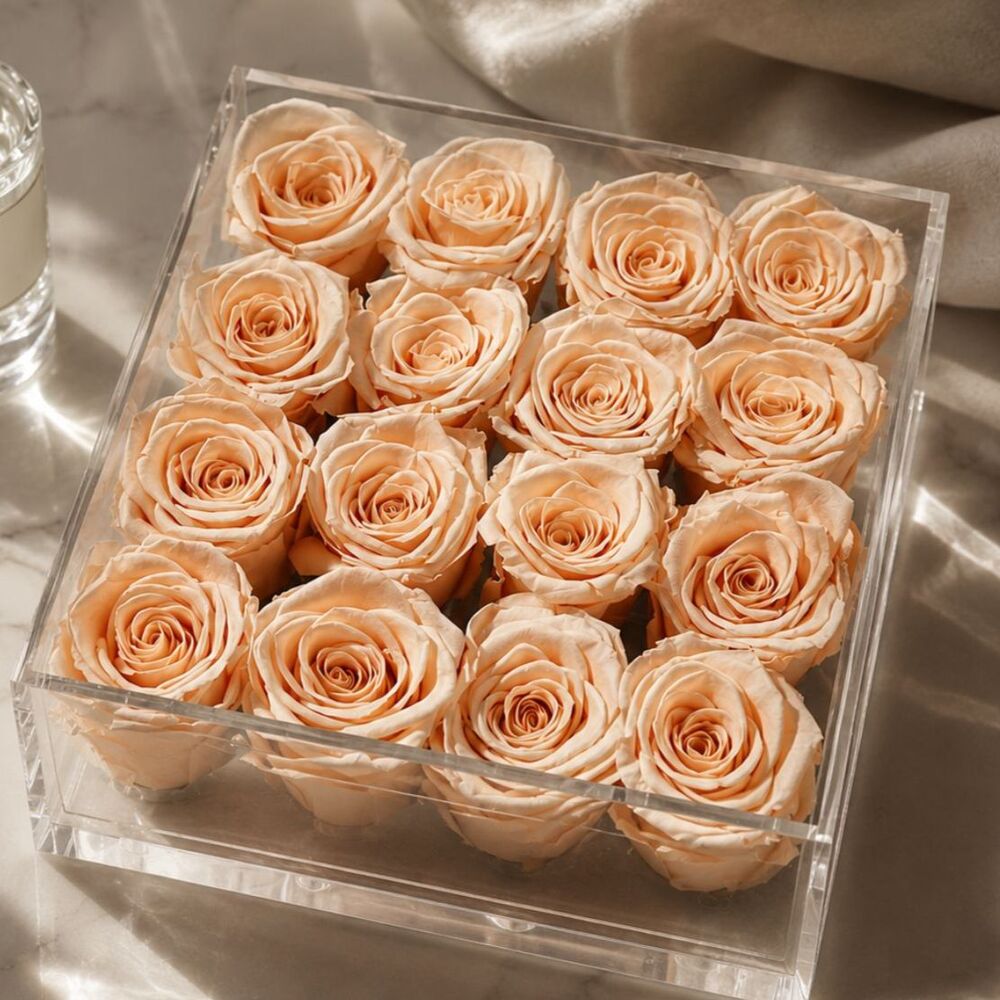 16 Preserved Blush Peach Roses in Clear Acrylic Box Luxury Floral Arrangement